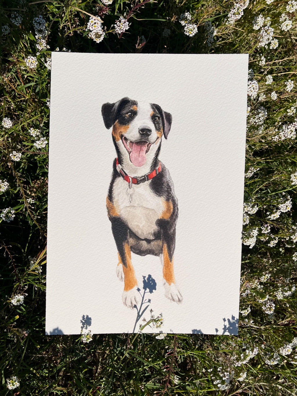 Medium Custom Pet Portrait