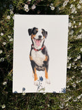 Medium Custom Pet Portrait