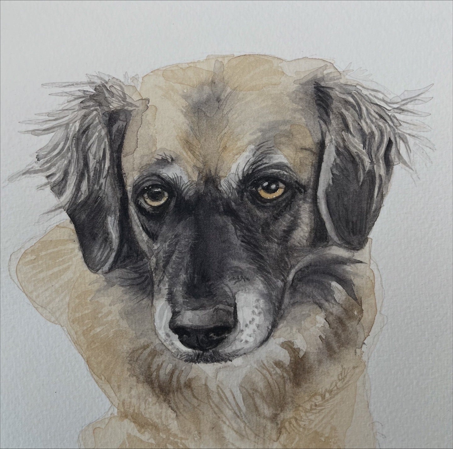 Small Custom Pet Portrait