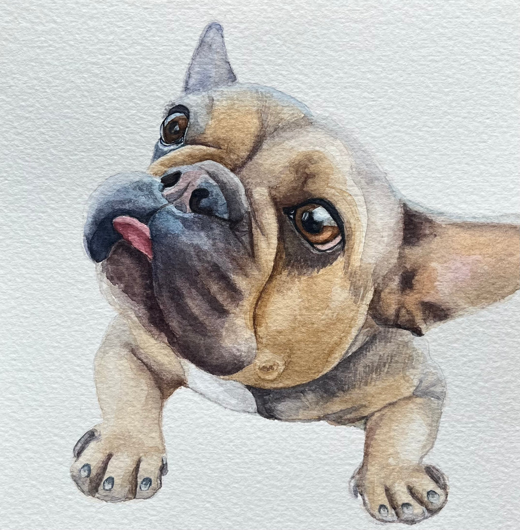 Small Custom Pet Portrait
