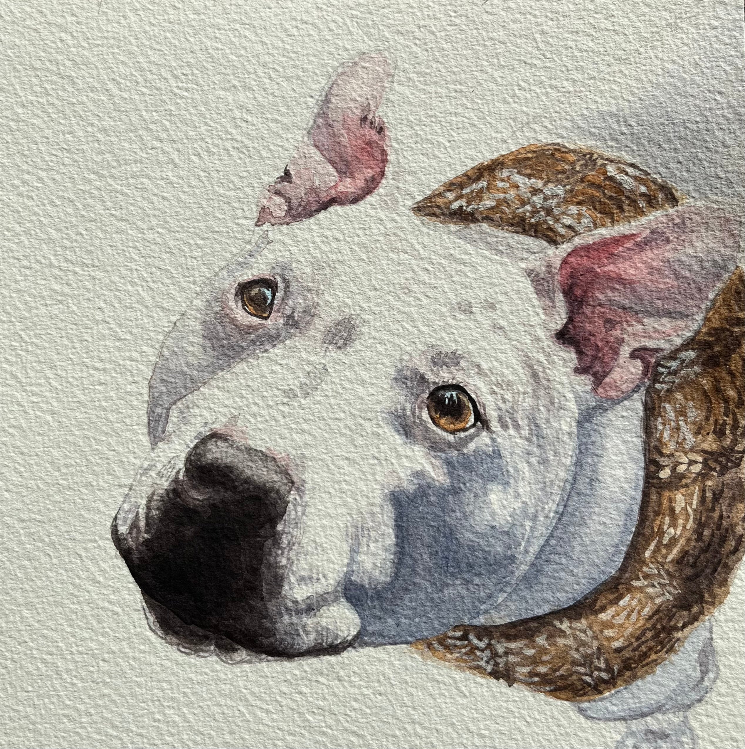 Small Custom Pet Portrait