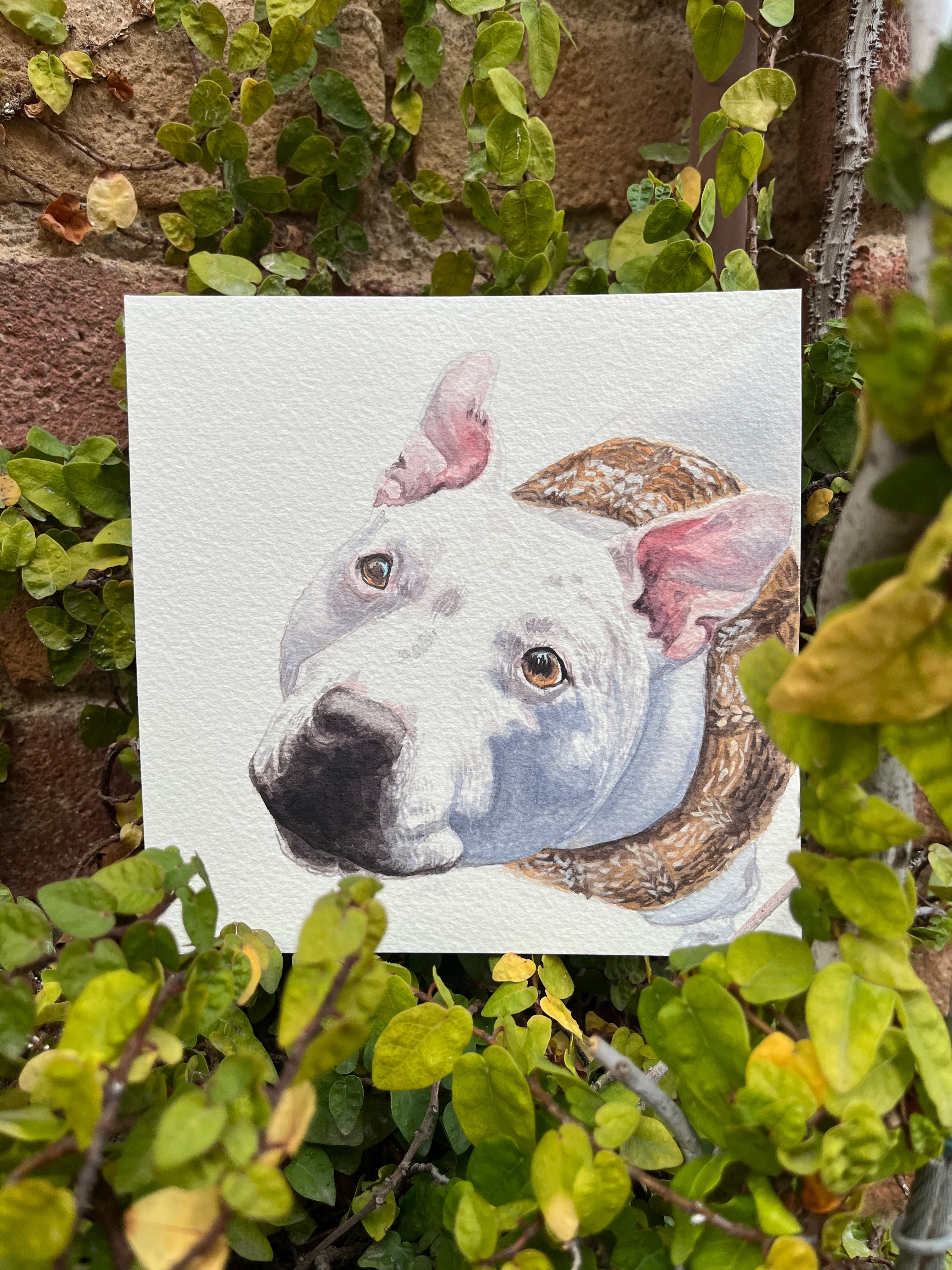 Small Custom Pet Portrait