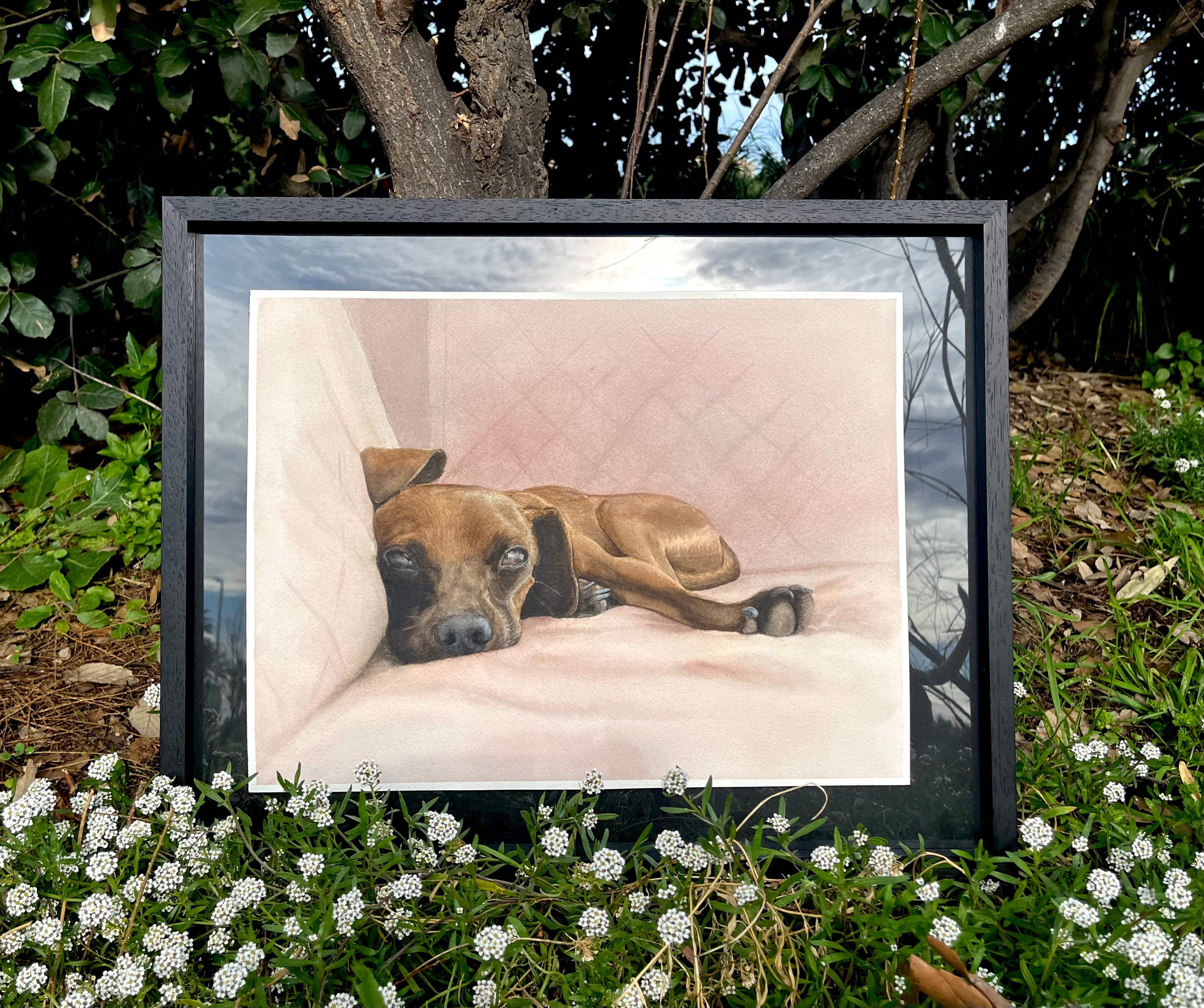 Large Custom Pet Portrait